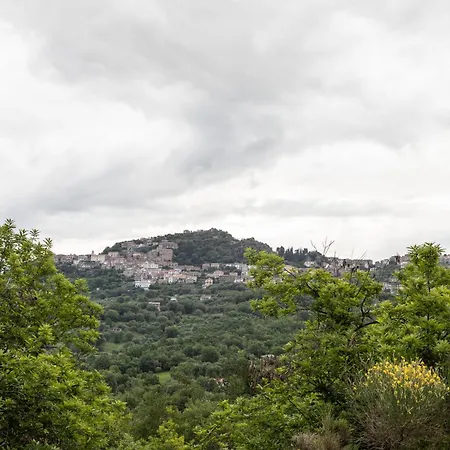 Casa Frida - * Roccagloriosa